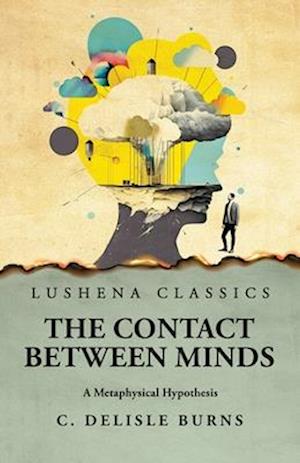 The Contact Between Minds A Metaphysical Hypothesis