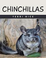 CHINCHILLAS