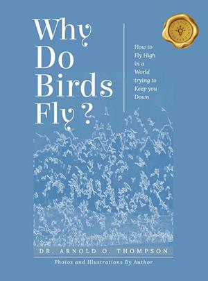 Why Do Birds Fly?