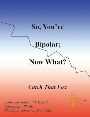 So, You're Bipolar; Now What?