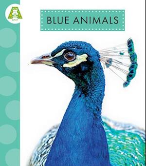 Blue Animals