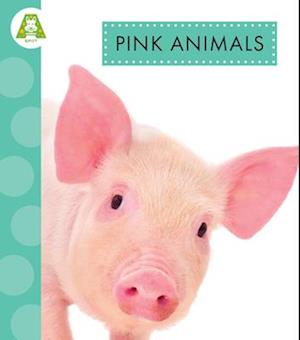 Pink Animals