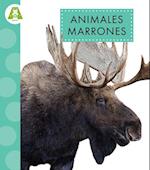 Animales Marrones