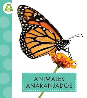 Animales Anaranjados