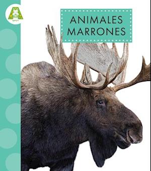 Animales Marrones