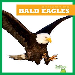 Bald Eagles