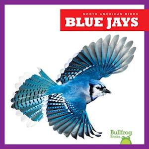 Blue Jays