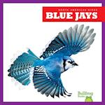 Blue Jays