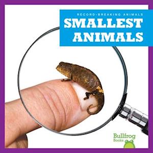 Smallest Animals