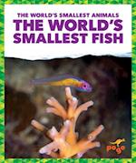 The World's Smallest Fish