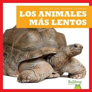 Los Animales Más Lentos (Slowest Animals)