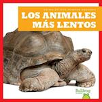 Los Animales Más Lentos (Slowest Animals)
