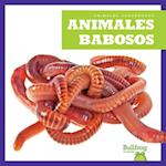 Animales Babosos (Slimy Animals)