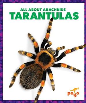 Tarantulas