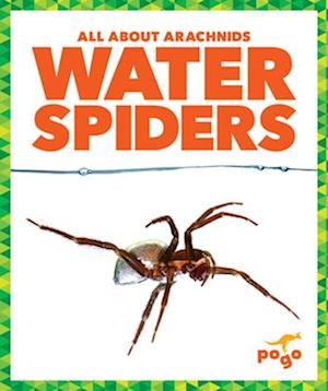 Water Spiders