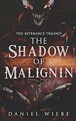 The Shadow of Malignin