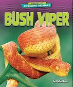 Bush Viper