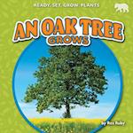 An Oak Tree Grows