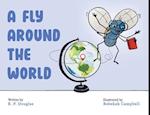 A Fly Around the World