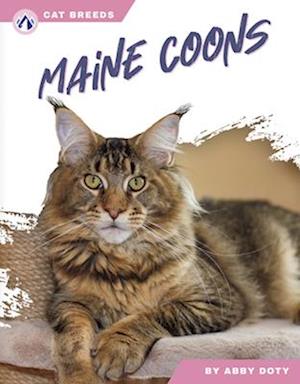 Maine Coons