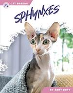 Sphynxes