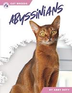 Abyssinians