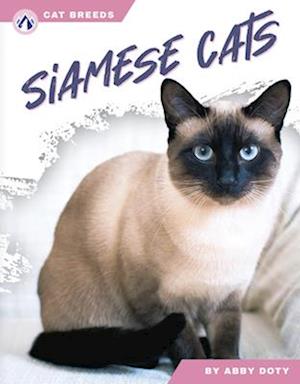 Siamese Cats