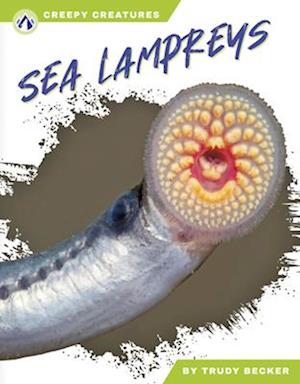 Sea Lampreys