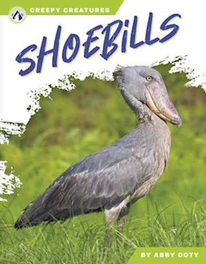 Shoebills