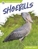 Shoebills