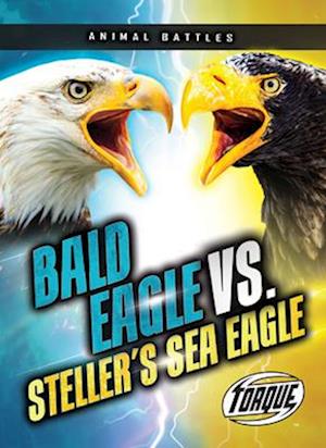 Bald Eagle vs. Steller's Sea Eagle