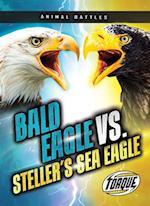 Bald Eagle vs. Steller's Sea Eagle
