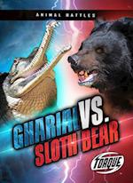 Gharial vs. Sloth Bear