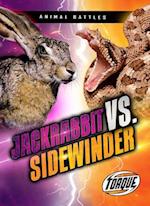 Jackrabbit vs. Sidewinder