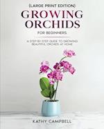 Growing Orchids for Beginners (Large Print Edition)