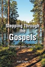 Stepping Through the Gospels