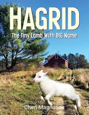 Hagrid The Tiny Lamb With The Big Name