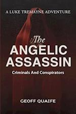 The Angelic Assassin