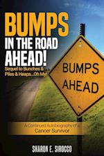 Bumps in the Road Ahead