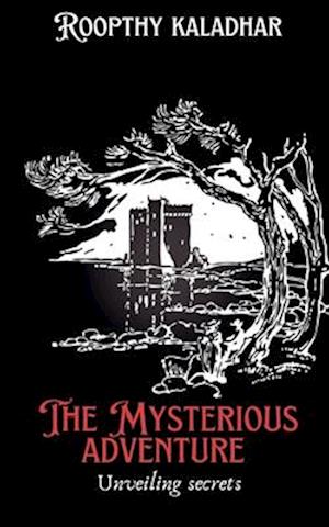 The mysterious adventure