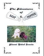 The Adventures of Salt & Pepper