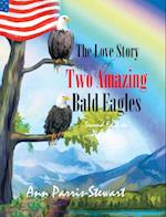 The Love Story of Two Amazing Bald Eagles