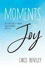 Moments of Joy: Fifty-Two Ideas to Nurture Greater Meaning from Life 