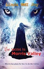 The Secret in Morris Valley 