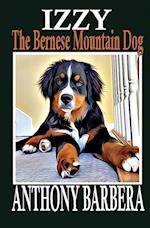 Izzy the Bernese Mountain Dog 