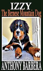 Izzy the Bernese Mountain Dog 