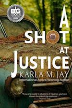 A Shot at Justice: A Highly Addictive Vigilante Story 