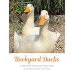 Backyard Ducks