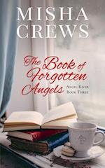 The Book of Forgotten Angels 