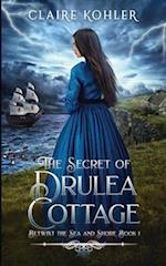 The Secret of Drulea Cottage 